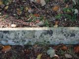 image of grave number 947007